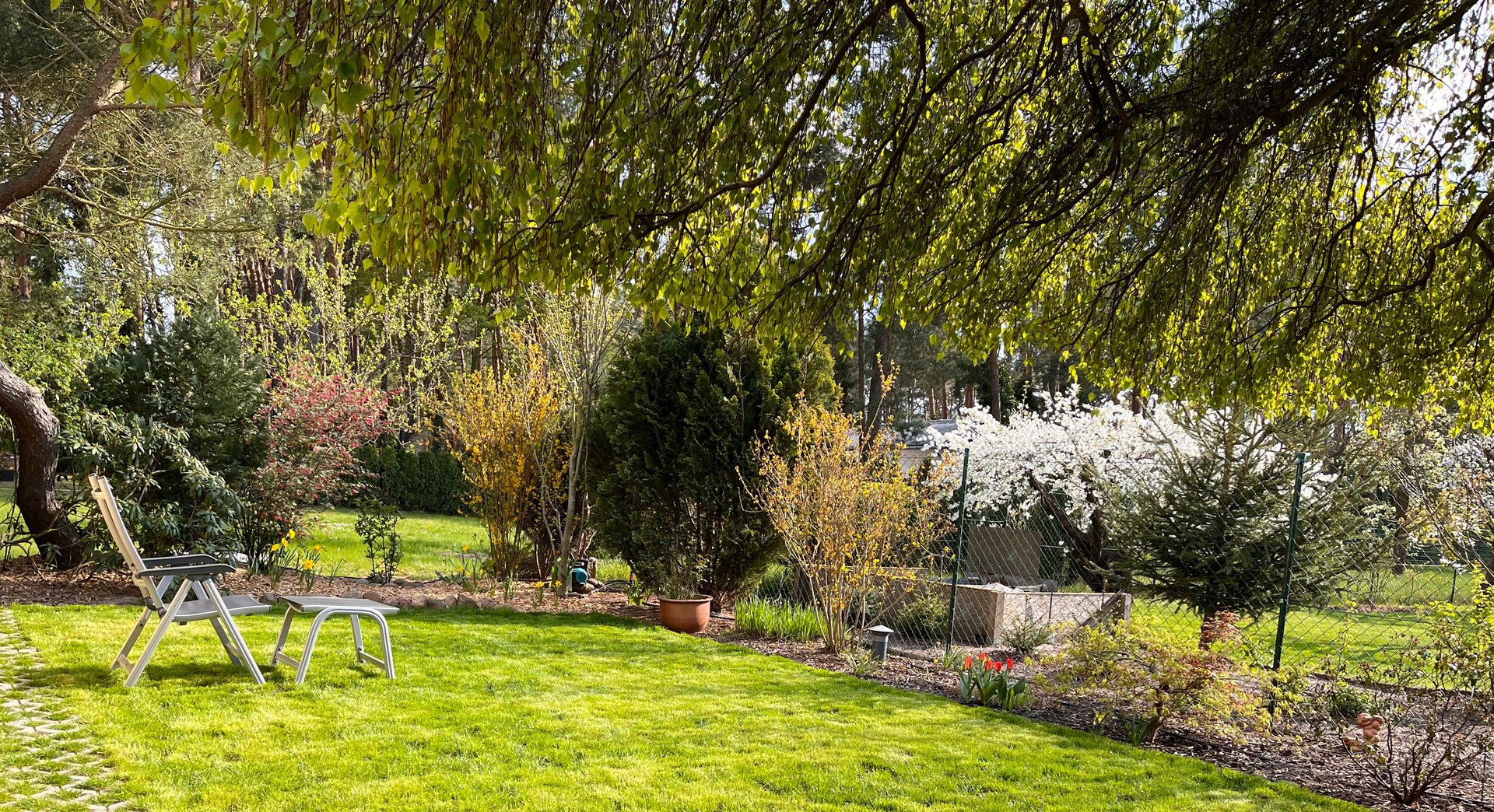 Großer Garten mit Liegestühlen